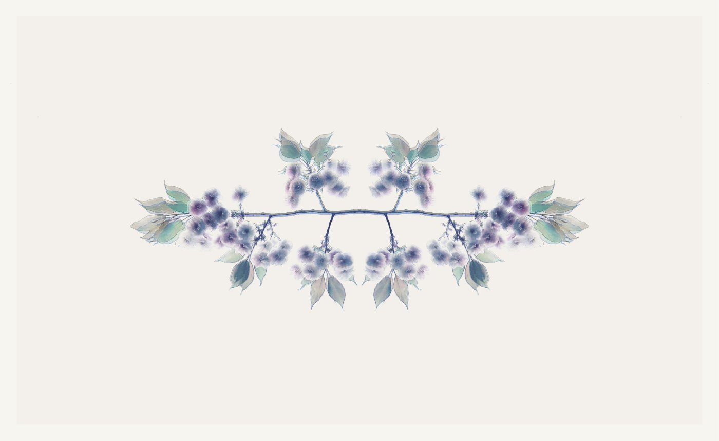 APPENA APPENA IN EQUILIBRIO — 80 × 130 FINE ART PRINT ON COTTON PAPER ON ALLOY FRAME IN WOOD