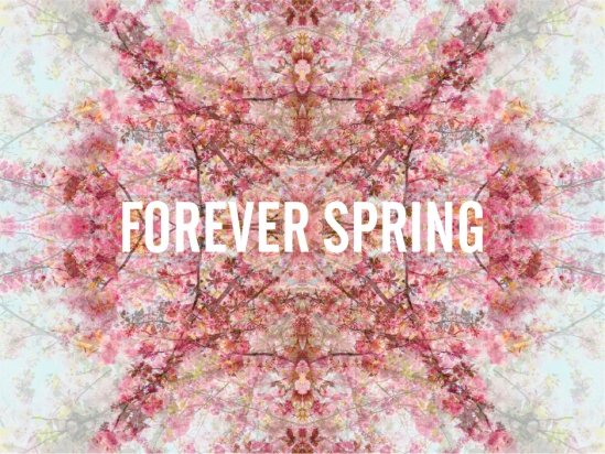 FOREVER SPRING  LIGHT BOX — 86 × 126CM FINE ART PRINT ON COTTON PAPER ON WHITE MATT PLE × IGLASS + IMAGE COMMUNICATION