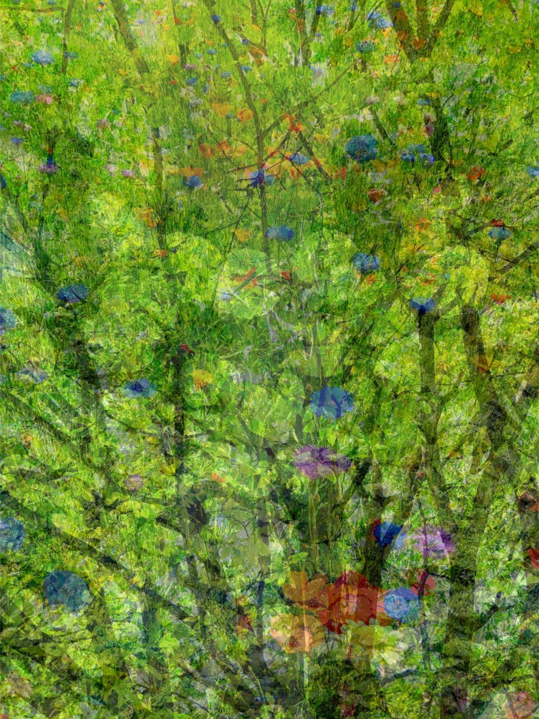 INSTANCABILMENTE  VERDE FINE ART PRINT ON COTTON PAPER ON ALLOY FRAME IN WOOD60X80