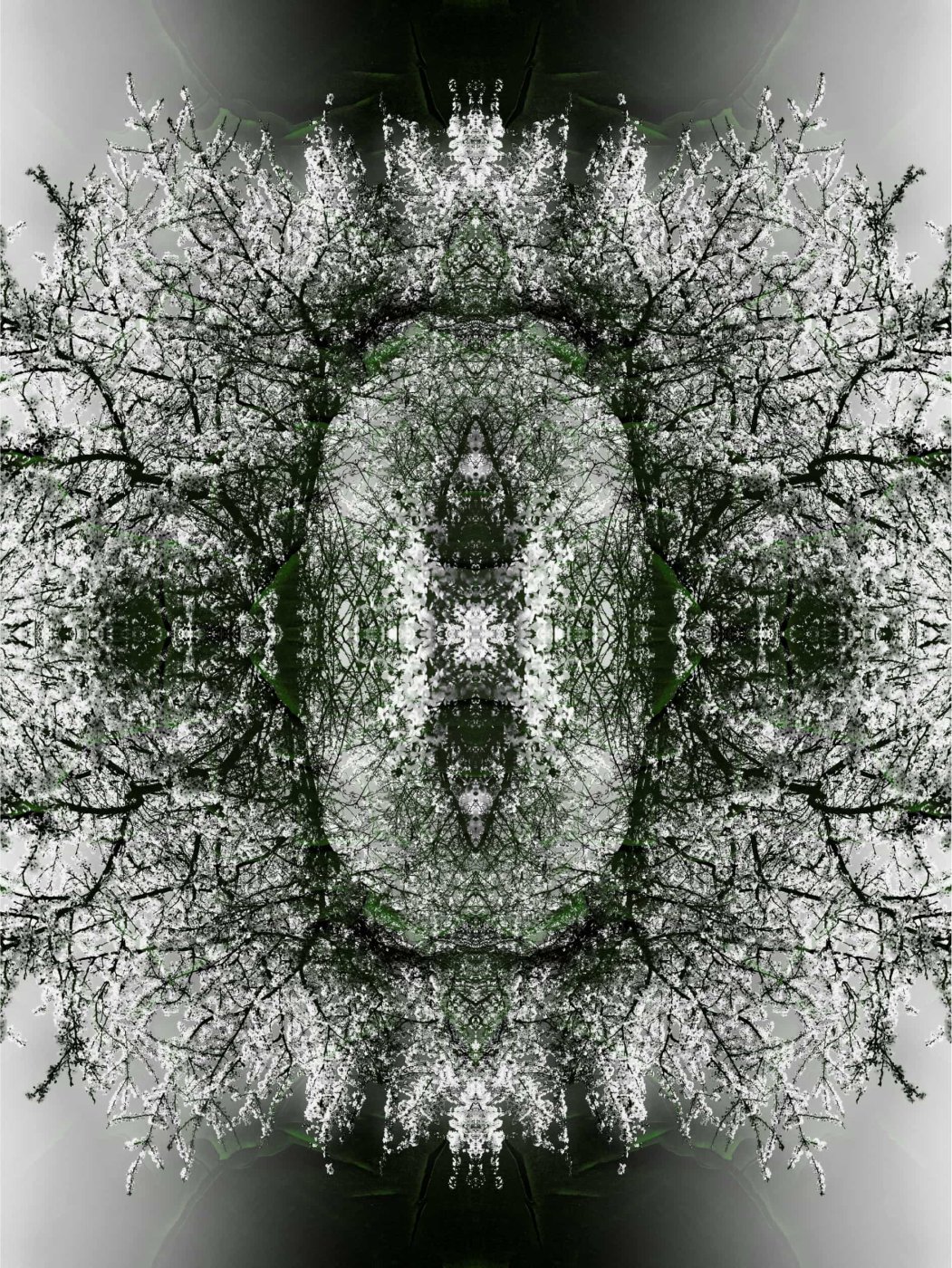 LA SIEPE INTUì DIVENTò MERLETTO E SI PARLò DI NOI — 120 × 160 FINE ART PRINT ON COTTON PAPER ON ALLOY