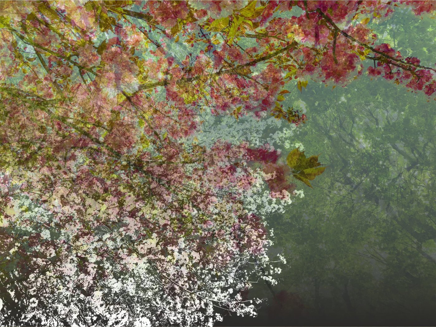 APPENA OLTRE DAL VUOTO — 60 × 80 FINE ART PRINT ON COTTON PAPER ON ALLOY FRAME IN WOOD